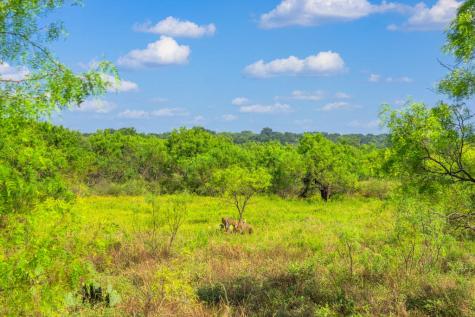 4163 E State Highway 29 Mason TX 76856