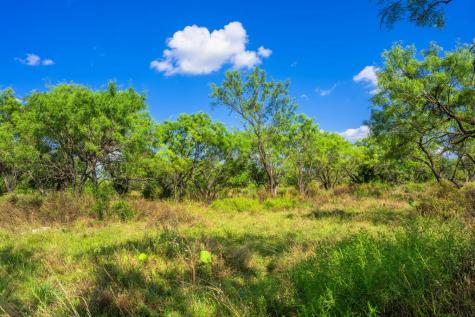 4163 E State Highway 29 Mason TX 76856