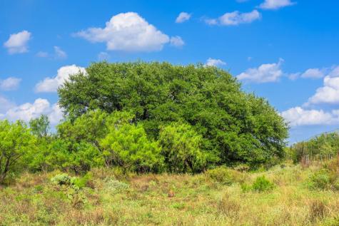 4163 E State Highway 29 Mason TX 76856