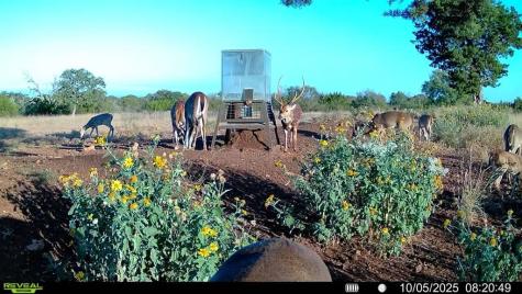 647 Funf Kinder Road Fredericksburg TX 78624