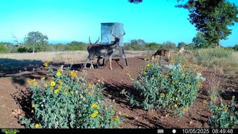 647 Funf Kinder Road Fredericksburg TX 78624