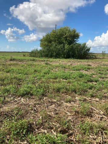 3361 Fm 1862 Palacios TX 77465