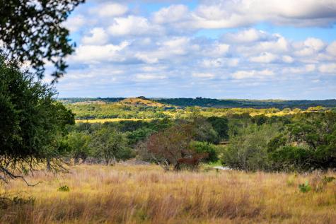 2873 Ranch Road 1888 Fredericksburg TX 78624
