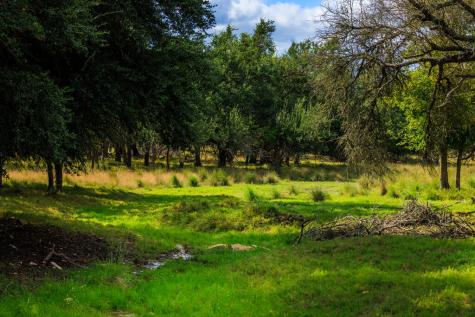 2873 Ranch Road 1888 Fredericksburg TX 78624