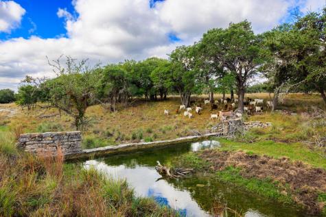 2873 Ranch Road 1888 Fredericksburg TX 78624