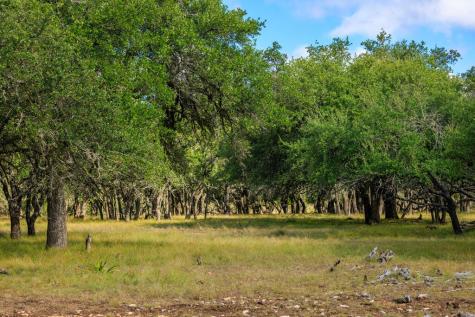 2873 Ranch Road 1888 Fredericksburg TX 78624
