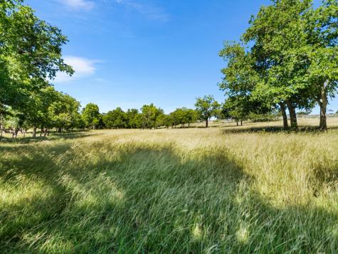 4369 Reeh Weinheimer Road Fredericksburg TX 78624