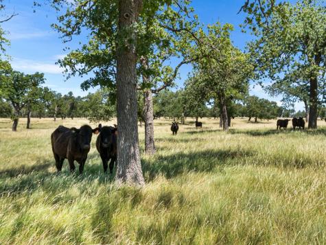 4369 Reeh Weinheimer Road Fredericksburg TX 78624