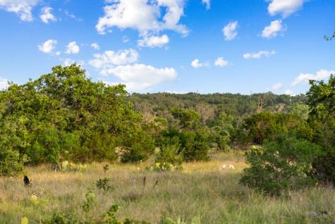 Tbd Lake On Flat Creek Drive Johnson City TX 78636