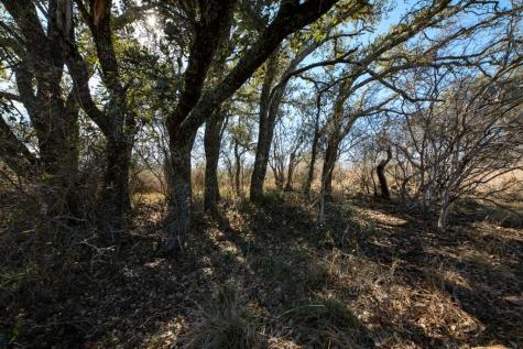 Tbd Hickory Grove Road Mason TX 76856
