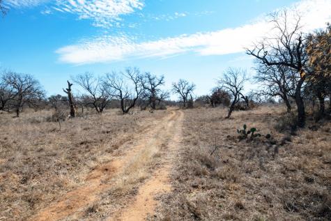 Tbd Hickory Grove Road Mason TX 76856