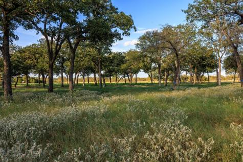10030 E Us Highway 290 Fredericksburg TX 78624