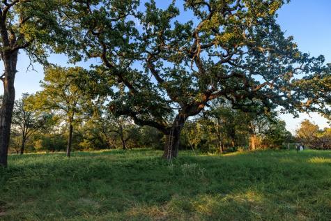 10030 E Us Highway 290 Fredericksburg TX 78624