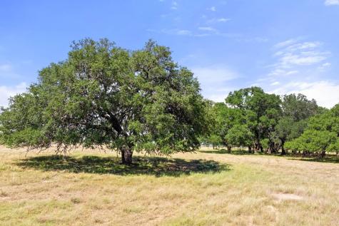 Tbd S Ranch Road 1623 Stonewall TX 78671