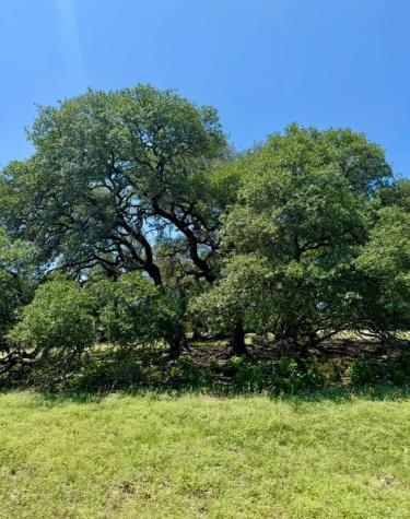 Tbd Grape Creek Road Fredericksburg TX 78624