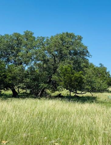 Tbd Grape Creek Road Fredericksburg TX 78624