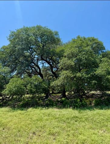 Tbd Grape Creek Road Fredericksburg TX 78624