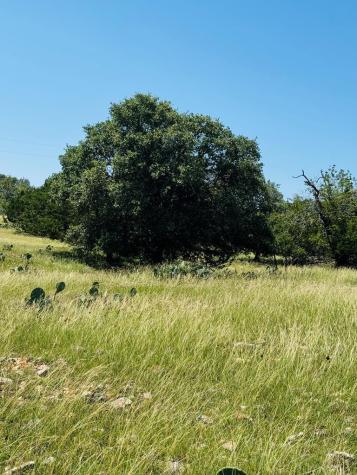 Tbd Grape Creek Road Fredericksburg TX 78624
