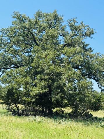 Tbd Grape Creek Road Fredericksburg TX 78624