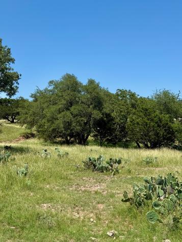 Tbd Grape Creek Road Fredericksburg TX 78624