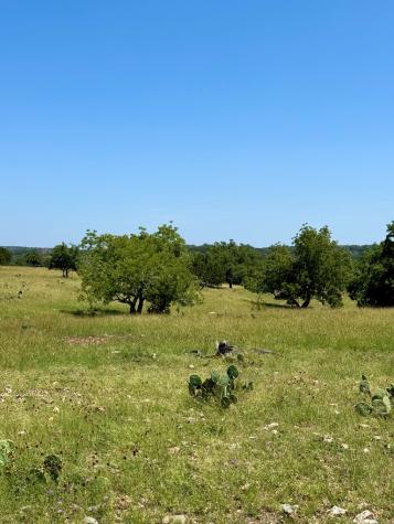 Tbd Grape Creek Road Fredericksburg TX 78624