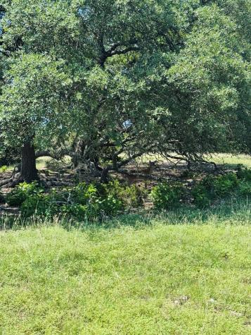 Tbd Grape Creek Road Fredericksburg TX 78624