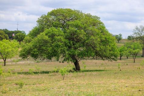 Tbd E Us Highway 290 Fredericksburg TX 78624