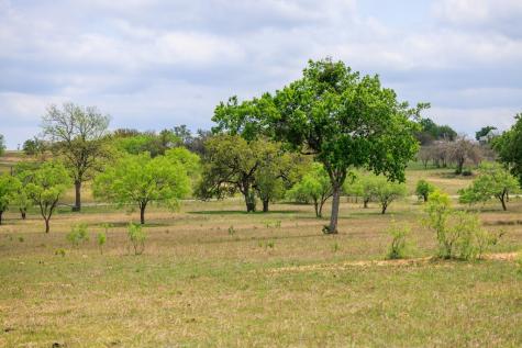 Tbd E Us Highway 290 Fredericksburg TX 78624