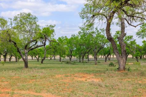 Tbd E Us Highway 290 Fredericksburg TX 78624