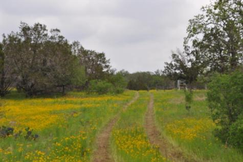 000 Watson Way Hye TX 78635