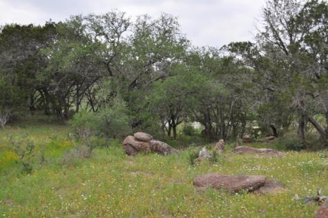 000 Watson Way Hye TX 78635