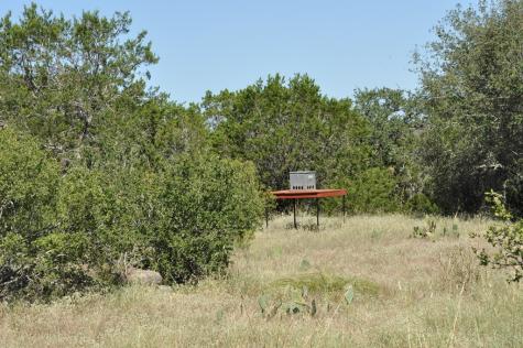 000 Watson Way Hye TX 78635