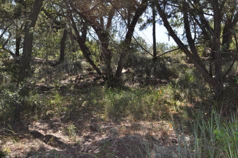 000 Watson Way Hye TX 78635