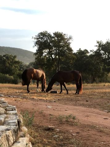 7A Escalar Drive Llano TX 78643