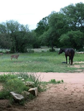 7A Escalar Drive Llano TX 78643