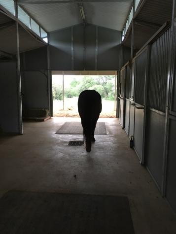 7A Escalar Drive Llano TX 78643