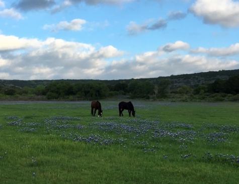7A Escalar Drive Llano TX 78643