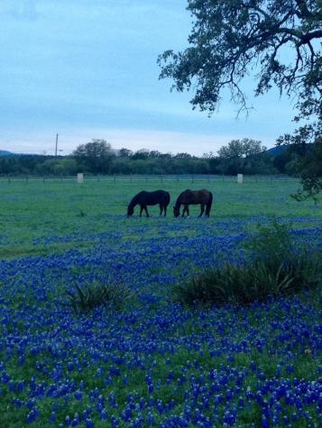 7A Escalar Drive Llano TX 78643