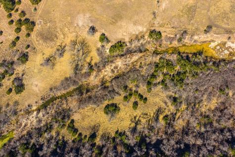 166 Dittmar Creek Road Harper TX 78631