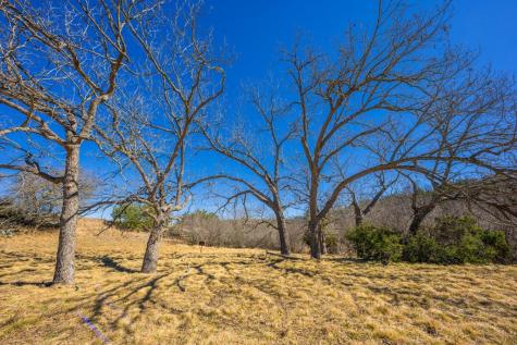 166 Dittmar Creek Road Harper TX 78631
