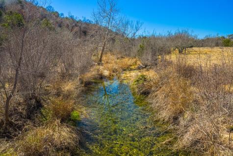 166 Dittmar Creek Road Harper TX 78631
