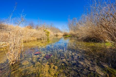 166 Dittmar Creek Road Harper TX 78631