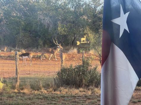 2356 Kc 314 Junction TX 76849