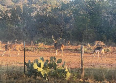 2356 Kc 314 Junction TX 76849