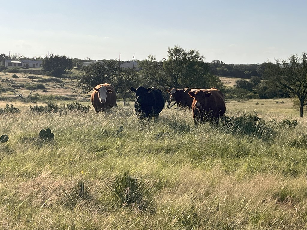 300 Private Road 626 Voca TX 76887