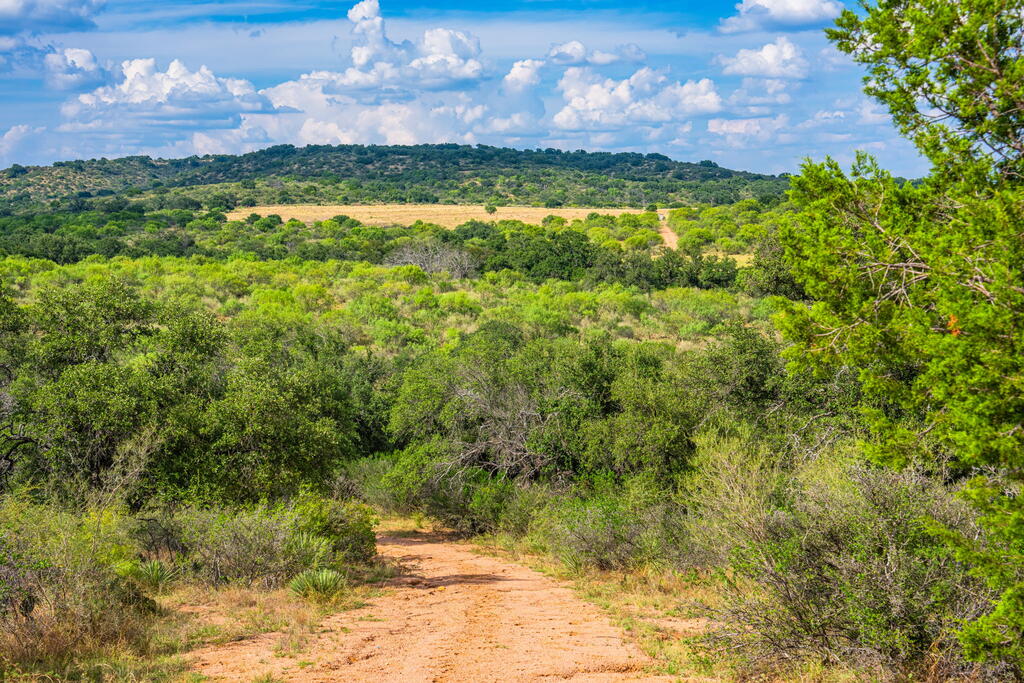 1070 Tullos Lane Mason TX 76856