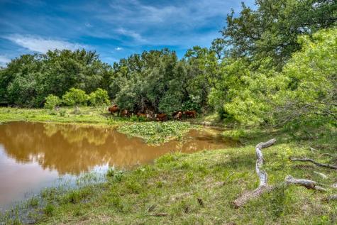 12987 S State Highway 16 Llano TX 78643