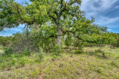 12987 S State Highway 16 Llano TX 78643