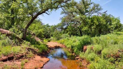 3676 Red Lane Mason TX 76856