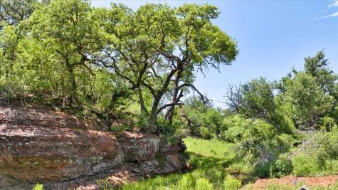 3676 Red Lane Mason TX 76856